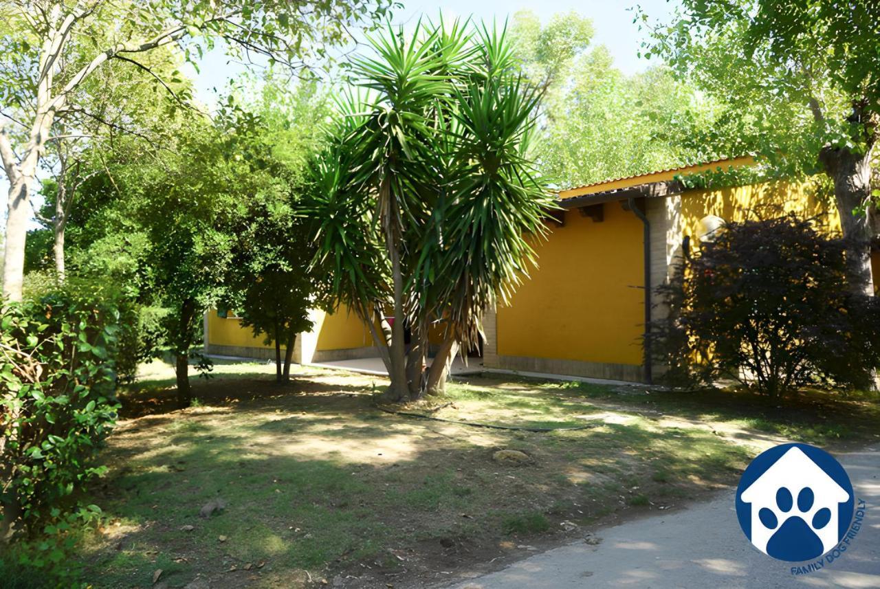 מלון Porto SantʼElpidio Club Del Sole La Risacca Family Collection מראה חיצוני תמונה