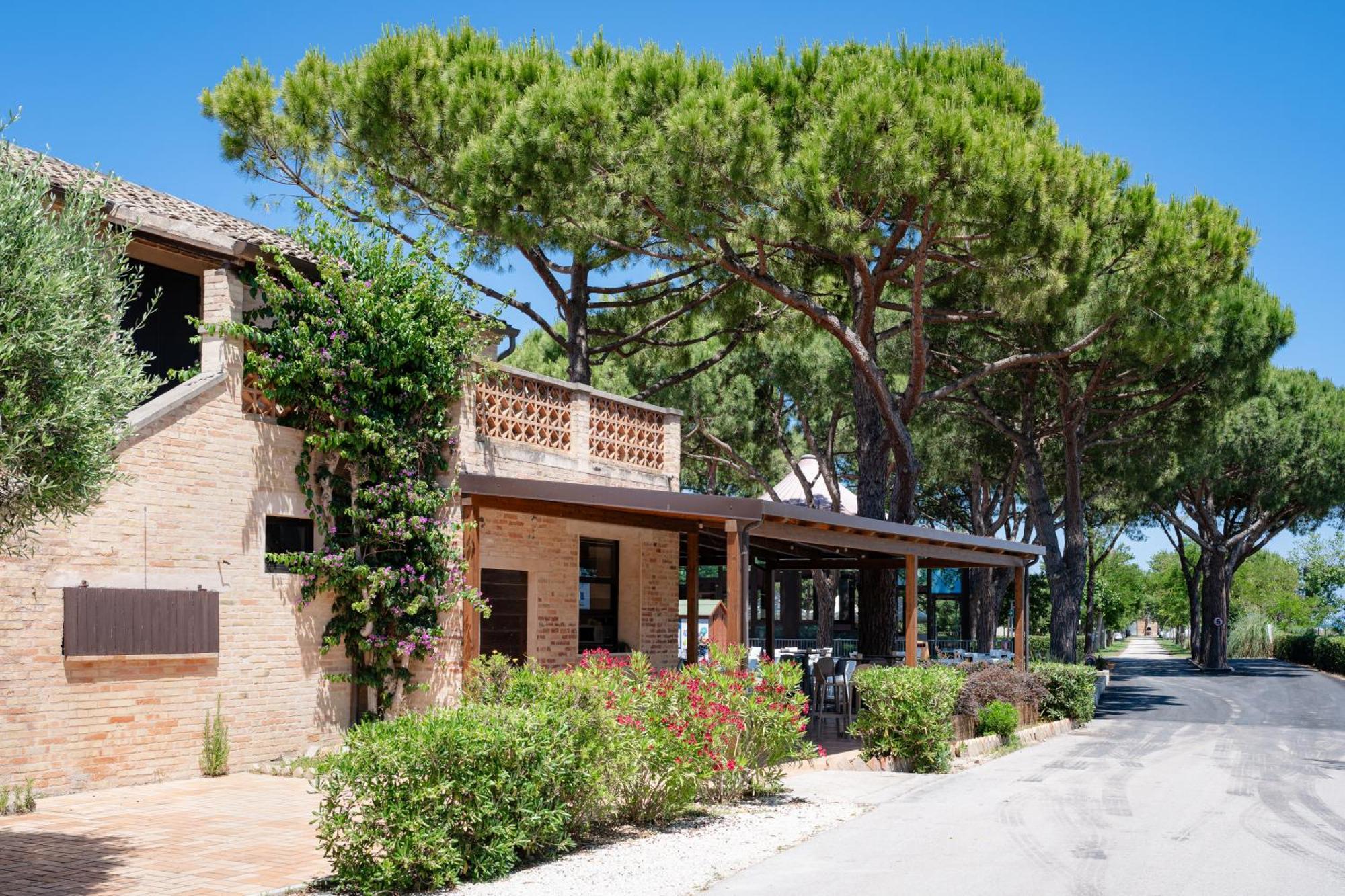 מלון Porto SantʼElpidio Club Del Sole La Risacca Family Collection מראה חיצוני תמונה